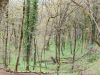 20210427_124128.thumb.jpg.d2a874fe6a371e7a76825808dd5e70b6.jpg