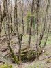 20210427_124606.thumb.jpg.e598444d1a69b75f93ad279bb09d36a4.jpg