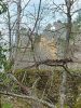 20210427_125056.thumb.jpg.adcd1c5f6c8fe924aff617016b274bbf.jpg