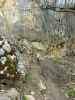 20210427_131153.thumb.jpg.33ce3882440ef02bdd63a8f0072d779b.jpg