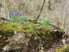 20210427_134406.thumb.jpg.89137cb225584015fd2d1e8733480c4c.jpg