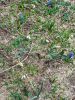 20210428_121503.thumb.jpg.3106dec39f57a23d2d94e3400f66204a.jpg