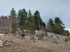 20210428_160201.thumb.jpg.da912d2bbde4d098d6a984ae63b79449.jpg