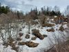 20210428_165705.thumb.jpg.b26f291461678ccc9bd737e78f343154.jpg