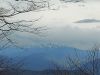 20210428_174520.thumb.jpg.18a597f03009d9f537149ce12dd964e2.jpg