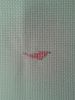 20210430_000641.thumb.jpg.542826cc33174470867e95751251c8c0.jpg