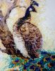20210509_204634.jpg.32db7bc6e44550c45db721061b168cbb.jpg