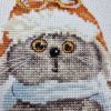 20210511_235931.thumb.jpg.4a9dfce3404487cb30f8f4b00a0da3ff.jpg