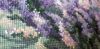 20210512_113002.thumb.jpg.6986333b188ed9816abee7b44bff5731.jpg
