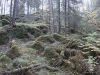 270334619_image(3).thumb.jpeg.34afa2871bc7aaeb4c2ed80061113640.jpeg