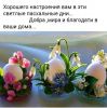 30381a3d1dc7d9d3cc8f10ff7fd96deb.thumb.jpg.2f8d51317ebd7d2b822e65f393707b6d.jpg
