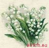 31418.thumb.jpg.440a45abe8c4efda33b8cefa1c75d27a.jpg