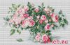 31833.thumb.jpg.062c7e931de3ebb301fd9e58cbbd96b2.jpg