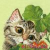 34617.thumb.jpg.1c58eb8a2feaa7be3dab0ed609a3f325.jpg