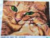 3524054_7.jpg.305114f81104de88304cd252aa7239e9.thumb.jpg.4d2ca60e3645c1df68e429a8d76663e3.jpg