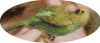 4.thumb.jpg.30bda980053993f03c328d73a3b003b2.jpg