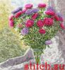 41644.thumb.jpg.94af9bff6c9d61b4b7206da9d6131aec.jpg
