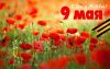 5DDCE7E9-71F8-45E0-8B69-84606DCDD1EE.thumb.jpeg.f3206c985dfd7b64f517c2fef7155a55.jpeg
