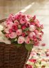 6C1F2D13-540E-4225-B1A5-6BD06E99C720.thumb.jpeg.cc0d3f2a66b77e81be49a1ce899d5433.jpeg