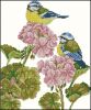 794654767_12-981BlueTits.thumb.jpg.d989720de22fc19128853c7a58fd6182.jpg