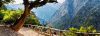 BA64B719-EB85-4213-AEE4-352E66715E59.thumb.jpeg.8ec676e364efbe8a4093b5b60844e5d1.jpeg