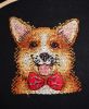 Corgie3.JPG.cf5fe4f9ebd5b15f0fa59d289d88f04a.thumb.jpg.12858bebcdc07815caff3f1e98e093a4.jpg