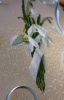 D61A3DE8-086E-4D60-9816-9ABCD76250C4.thumb.jpeg.e78f96728ec8e2d538e4896087394ea6.jpeg