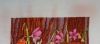 DSC03493.thumb.JPG.fca03998c6f627c46fe4da49dcb5af76.JPG