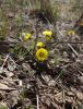 DSC07752.thumb.JPG.36ea87e7cd1a841d2f7e8ac351d21e0a.JPG