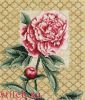 IL-004a.thumb.jpg.9ded9f18ebe1207813f3bb60a93d2bfd.jpg