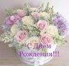 IMG-1d24a6cd4fc69dc303a649eaaba1d3ce-V.thumb.jpg.ecab916b043f04f6b249fd686c215561.jpg