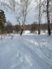 IMG-20210217-WA0001.thumb.jpg.8ec99be3de96100b8dccd778c03acb4b.jpg
