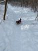 IMG-20210217-WA0009.thumb.jpg.365c58b5b9ceb0f887635b0c0ebbe244.jpg
