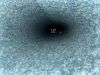 IMG-20210314-WA0006.thumb.jpg.670372cc673504065c2f541f57e5cc92.jpg