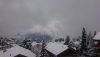 IMG-20210502-WA0000.thumb.jpg.39a8b586d6887a1a7b408e6a6b375a0f.jpg