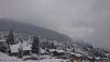 IMG-20210502-WA0001.thumb.jpg.a5051f9bd28603ac28014269d394442c.jpg