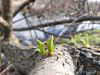 IMG-20210503-WA0023.thumb.jpg.a8ac7475b01f28e1912e1766de951c17.jpg