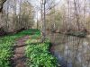 IMG-20210503-WA0030.thumb.jpg.424d3547c2422f56fed82fcce353eb4d.jpg