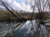 IMG-20210503-WA0034.thumb.jpg.1cf192e664748294450b43772cc0d76c.jpg