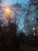 IMG-20210504-WA0004.jpg