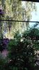 IMG-20210531-WA0011.thumb.jpeg.7364dbb728a65e8928781a68f49514b4.jpeg