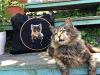 IMG_0105.thumb.JPG.2abed3408f2d422d1a19aa24438f64a6.JPG