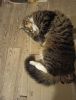 IMG_20200829_225240.thumb.jpg.2c63d28dde8ae81981031a9c3f992fca.jpg
