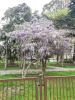 IMG_20210424_115339.thumb.jpg.93ad864608319426826a88d715204f42.jpg