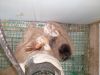 IMG_20210425_081112.thumb.jpg.346cc9cde0dde863337ff08cc8d3b874.jpg