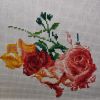 IMG_20210426_203919.thumb.jpg.c346f12ef4cab4a398fedea18b7c0890.jpg