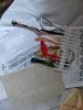 IMG_20210427_094127.thumb.jpg.e2bfa7efea456bdd1e525bda5dbd70a6.jpg