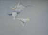IMG_20210429_152229.thumb.jpg.e5c907da7c73822ae251811cee650dd8.jpg