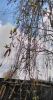IMG_20210501_154502.thumb.jpg.c329afd88bc4d5c9baa5585e47740daf.jpg