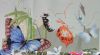 IMG_20210502_120634.thumb.jpg.e752db01f380c6449aae26e2e8a1cd77.jpg